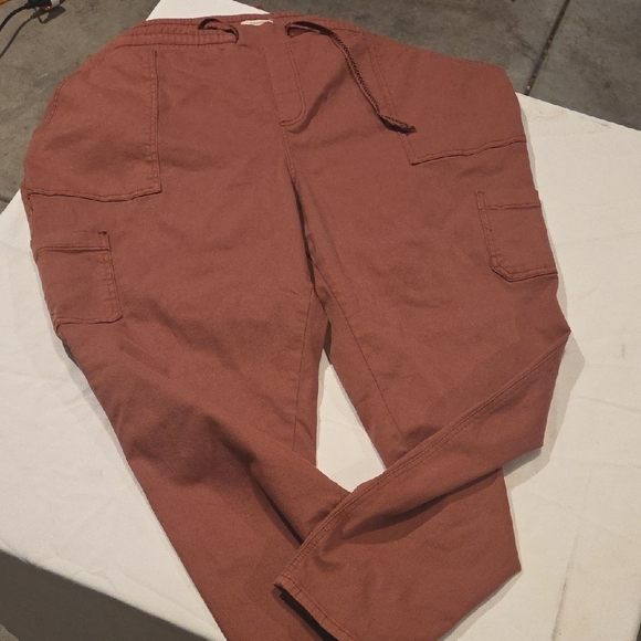 Maurices Other - Maurices Men's Cargo Jogger Pants — Rust Brown